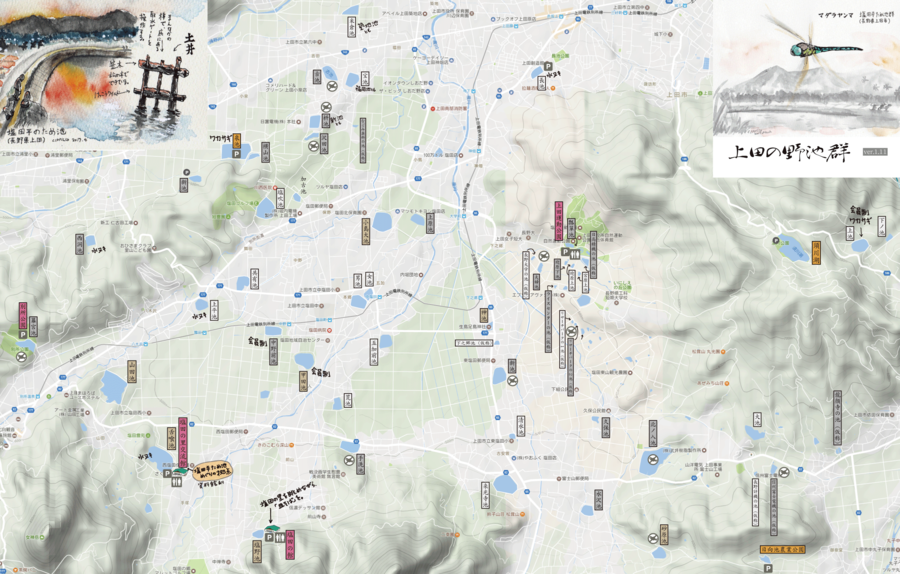 f:id:cippillo:20170413140120p:plain