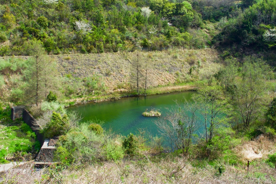 f:id:cippillo:20170415115355j:plain f:id:cippillo:20170415115355j:plain