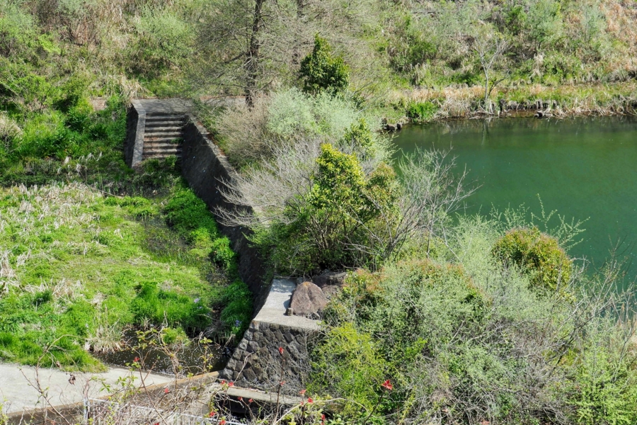 f:id:cippillo:20170415115357j:plain f:id:cippillo:20170415115357j:plain