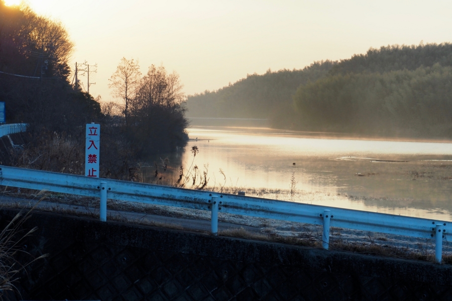 f:id:cippillo:20170419080041j:plain