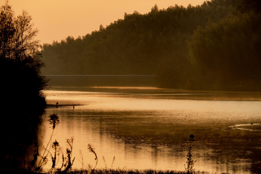 f:id:cippillo:20170419080042j:plain