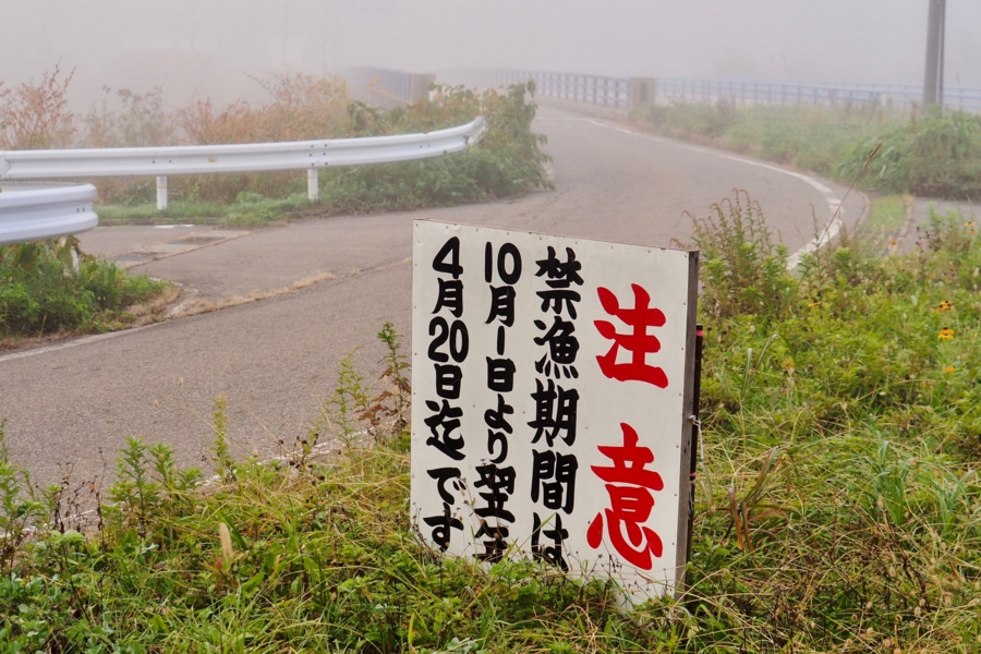 f:id:cippillo:20170420103449j:plain