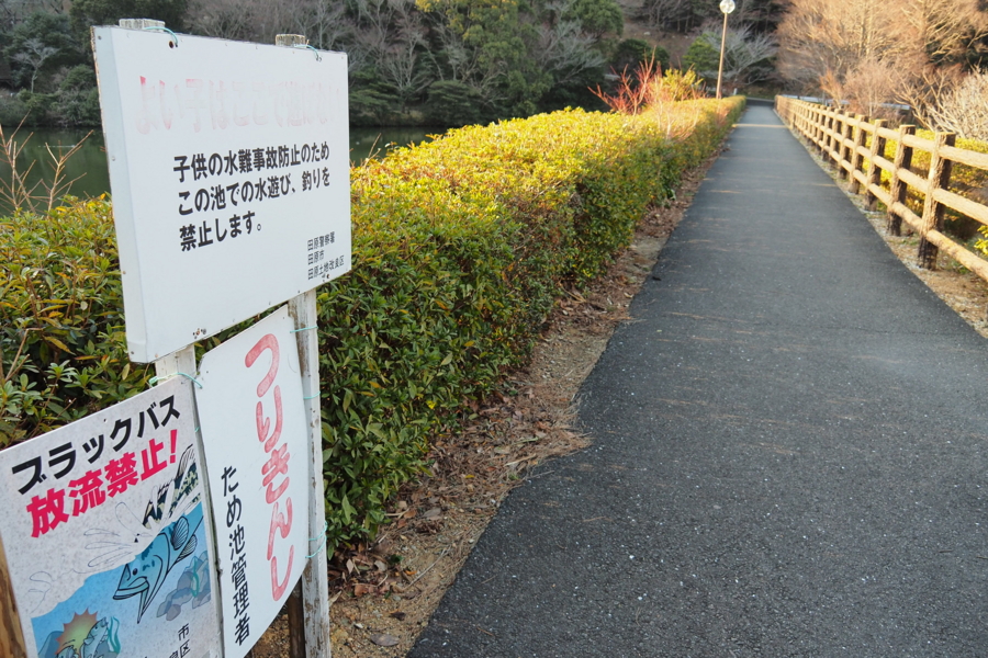 f:id:cippillo:20170429102259j:plain