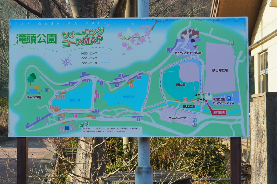 f:id:cippillo:20170429102303j:plain