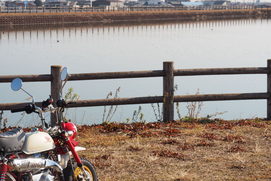 f:id:cippillo:20170429164142j:plain