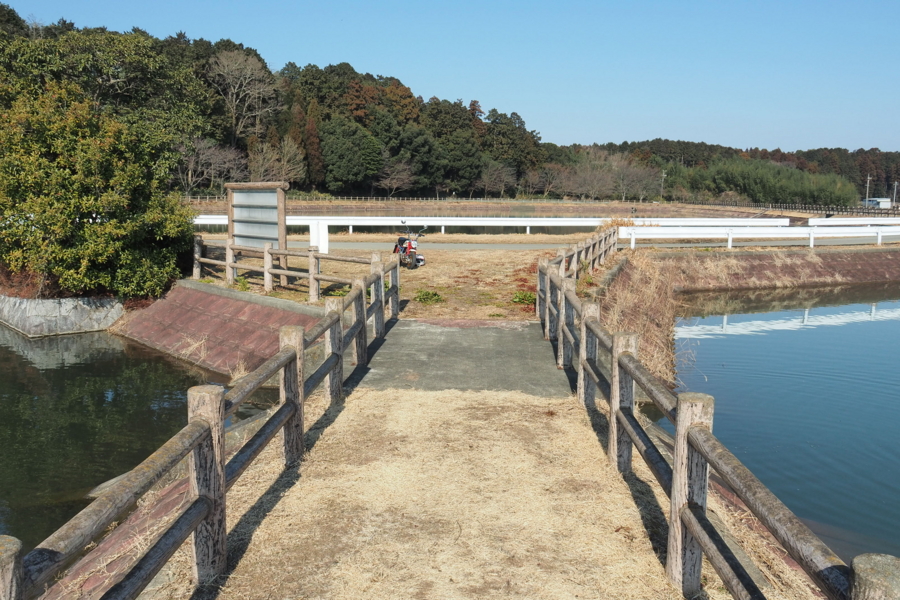 f:id:cippillo:20170429164143j:plain