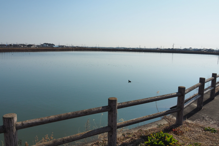 f:id:cippillo:20170429164144j:plain