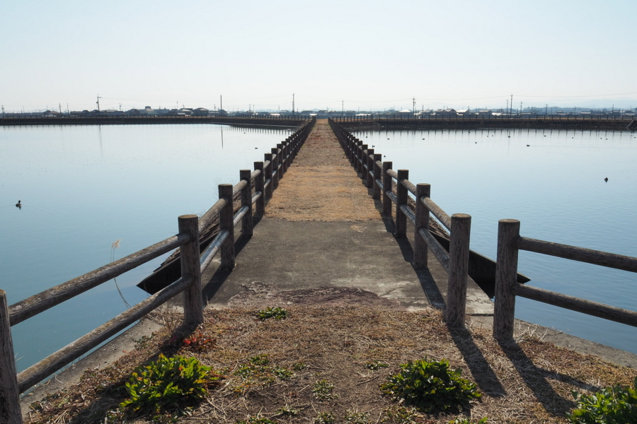 f:id:cippillo:20170429164145j:plain