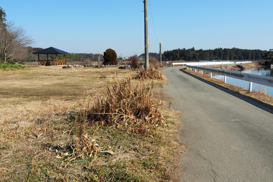 f:id:cippillo:20170429164146j:plain