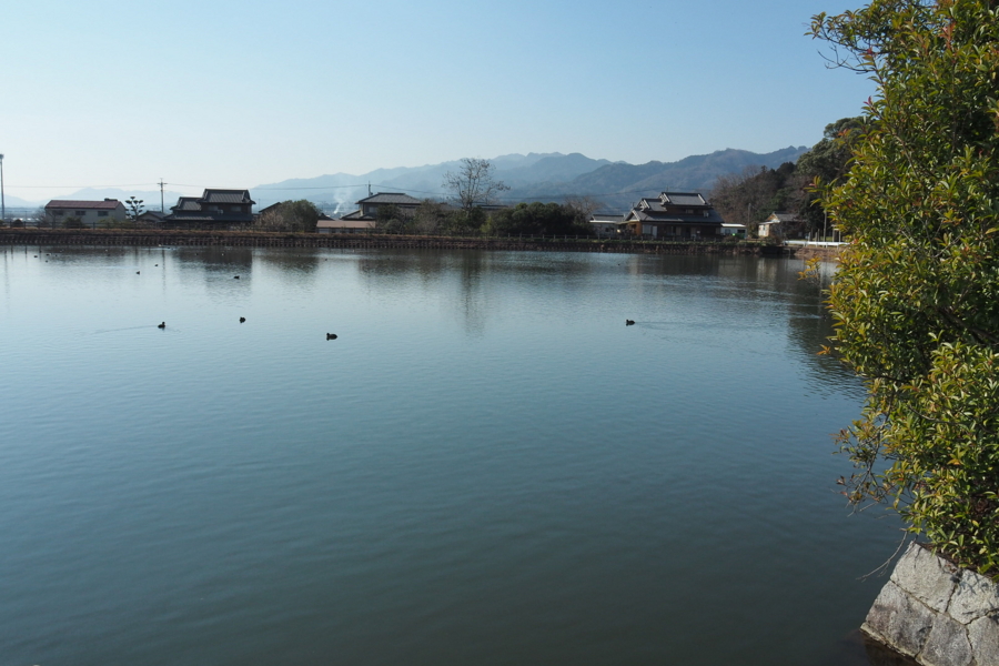 f:id:cippillo:20170429164147j:plain