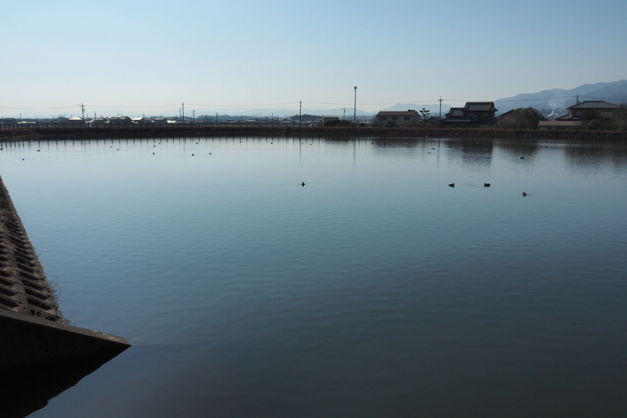 f:id:cippillo:20170429164148j:plain