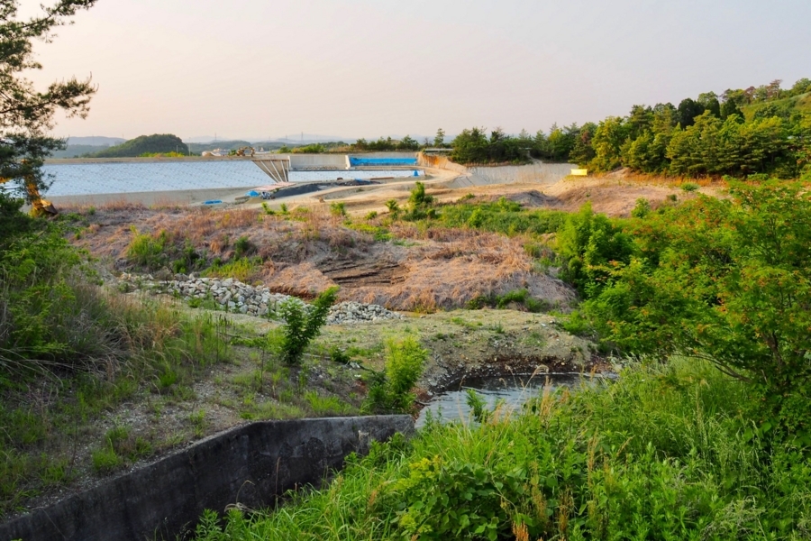 f:id:cippillo:20170530110521j:plain f:id:cippillo:20170530110521j:plain