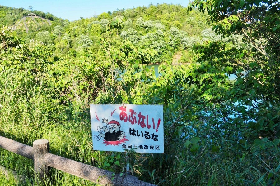 f:id:cippillo:20170530110523j:plain