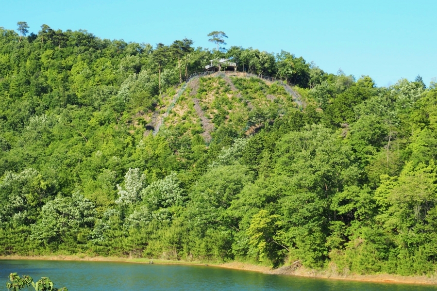 f:id:cippillo:20170530110524j:plain