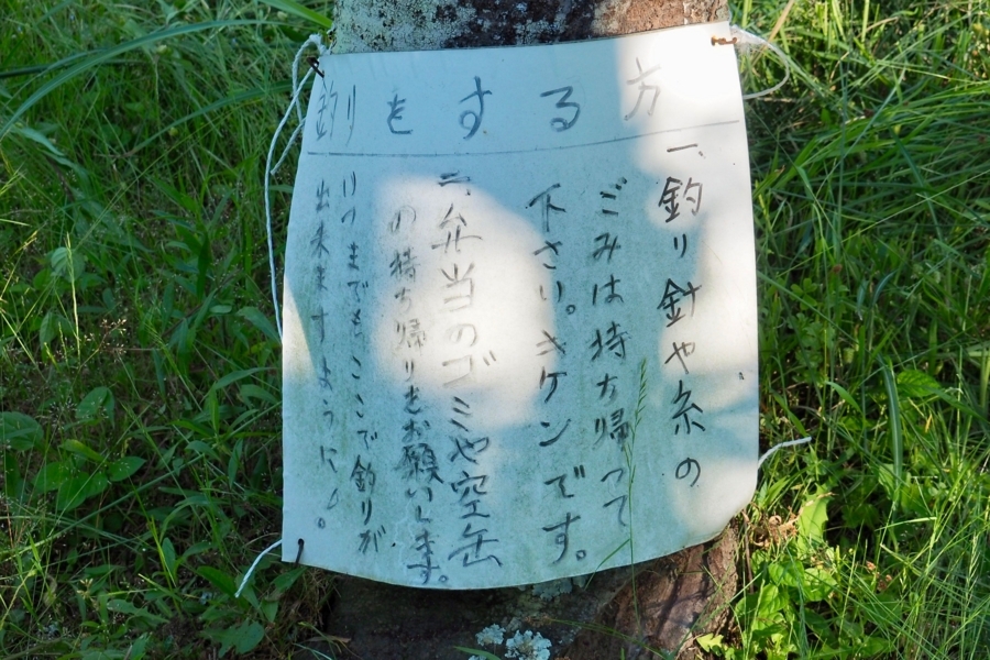 f:id:cippillo:20170530110529j:plain