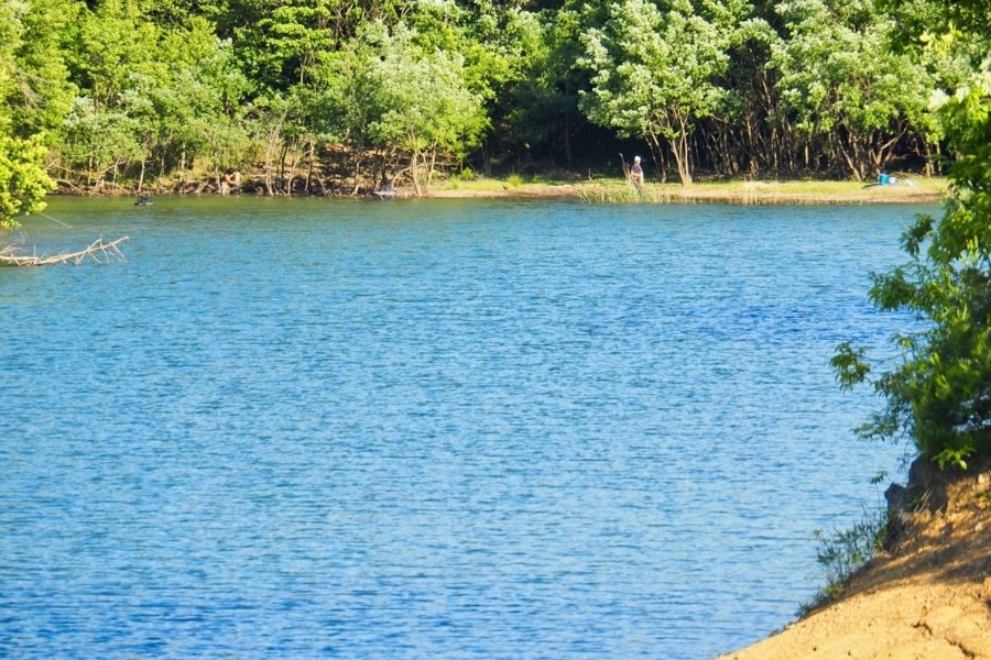 f:id:cippillo:20170530110532j:plain