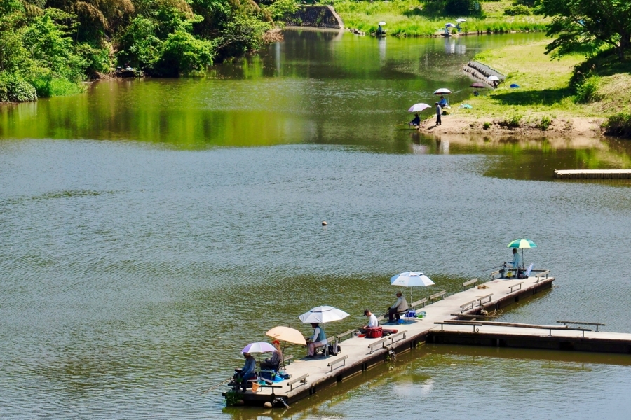 f:id:cippillo:20170618213711j:plain