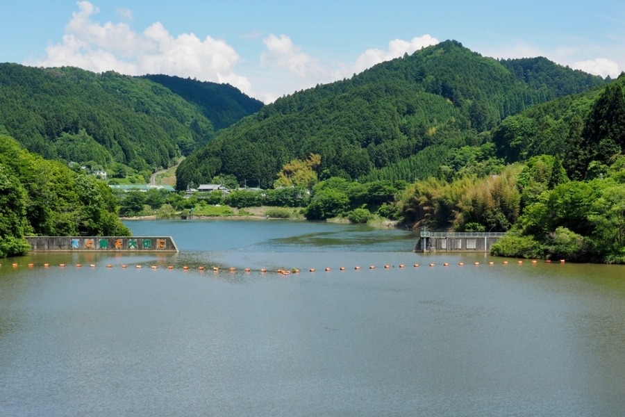 f:id:cippillo:20170618213715j:plain