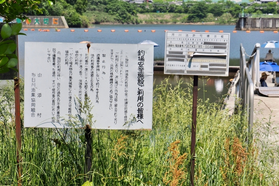 f:id:cippillo:20170618213717j:plain