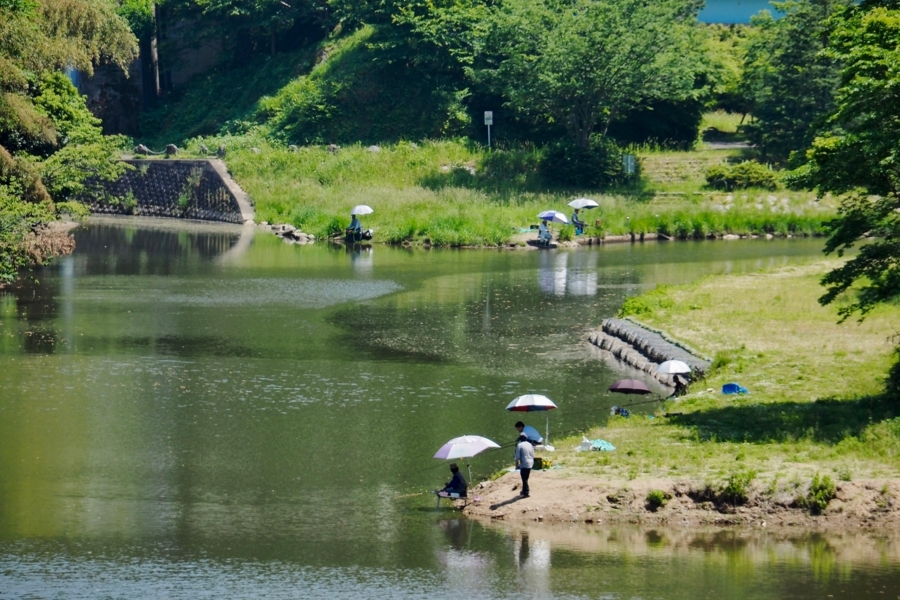 f:id:cippillo:20170618213719j:plain