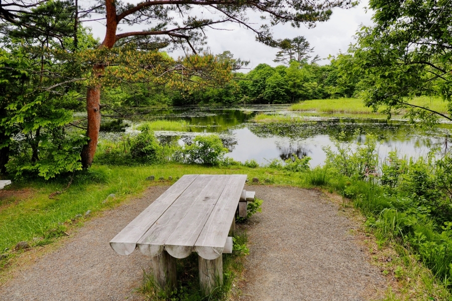 f:id:cippillo:20170620124428j:plain