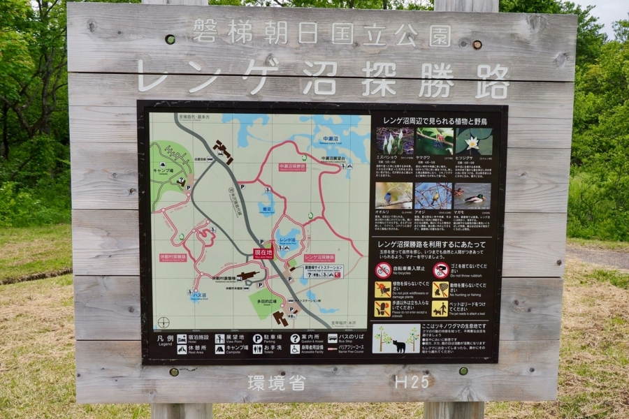 f:id:cippillo:20170620124429j:plain