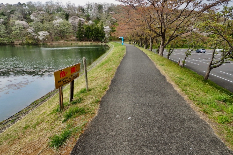 大槻公園の池 福島県郡山 水辺遍路