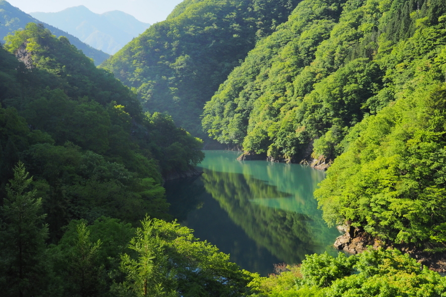 f:id:cippillo:20170628111702j:plain