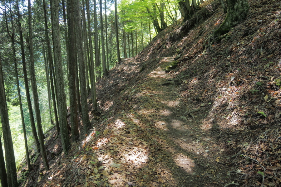 f:id:cippillo:20170628111703j:plain