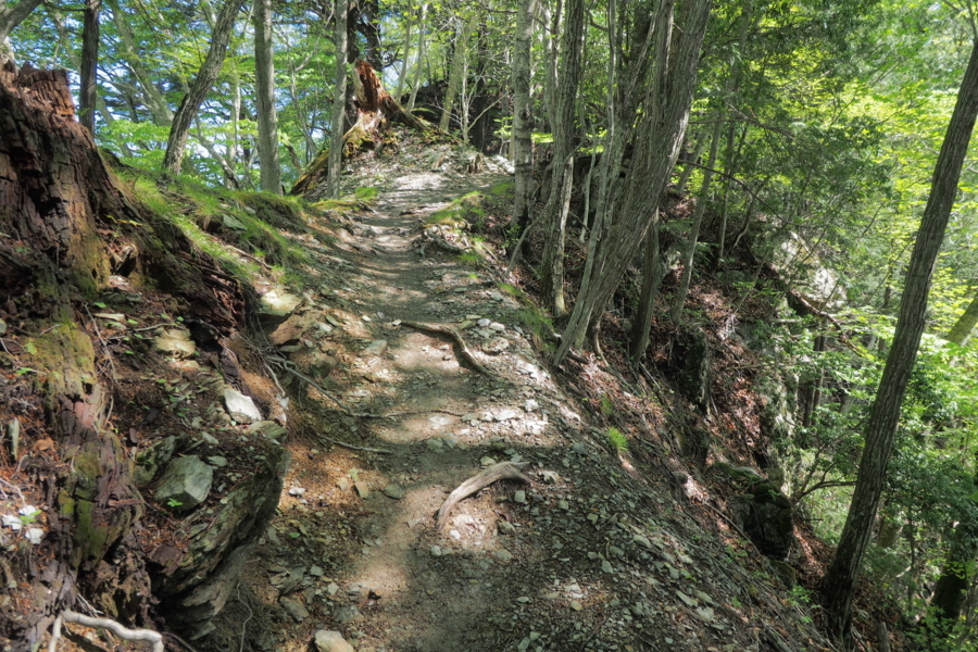 f:id:cippillo:20170628111704j:plain