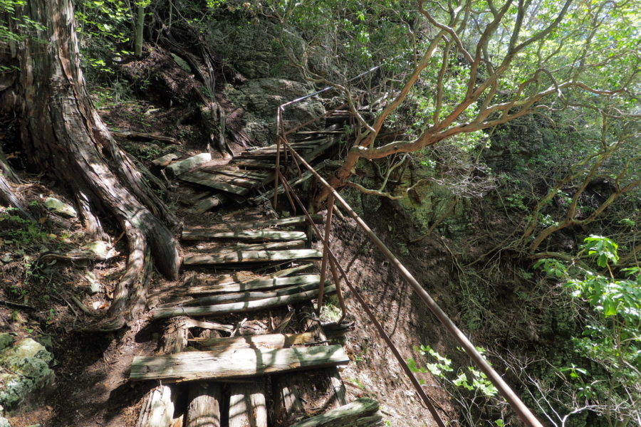 f:id:cippillo:20170628111705j:plain