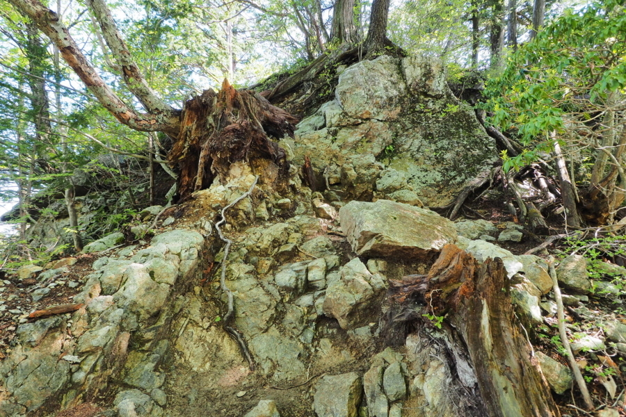 f:id:cippillo:20170628111711j:plain