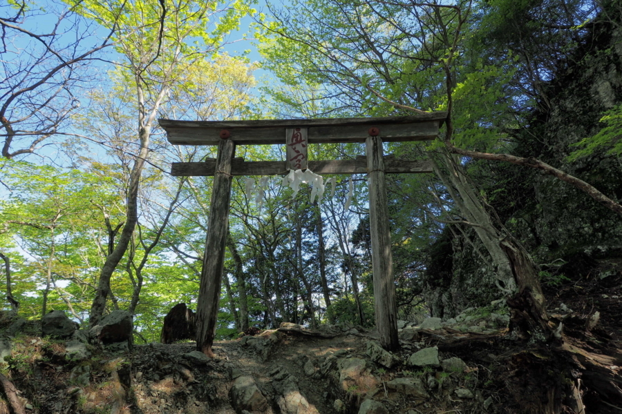 f:id:cippillo:20170628111714j:plain