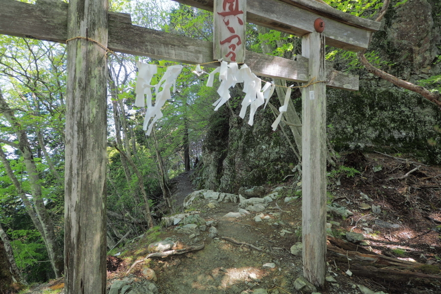 f:id:cippillo:20170628111715j:plain