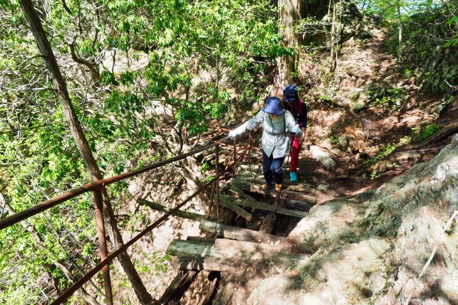 f:id:cippillo:20170628111718j:plain