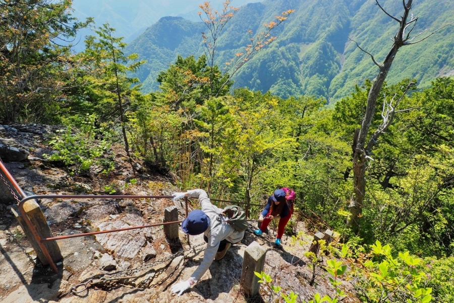 f:id:cippillo:20170628111722j:plain