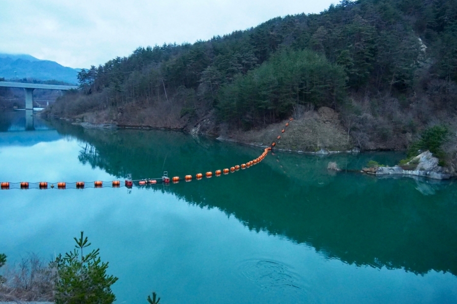 f:id:cippillo:20170711184209j:plain f:id:cippillo:20170711184209j:plain