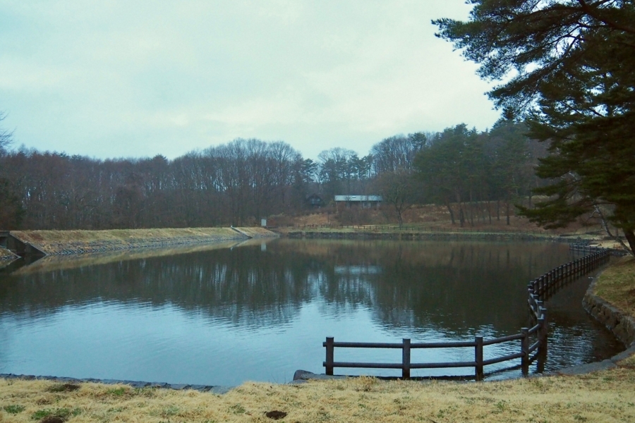 f:id:cippillo:20170711184213j:plain