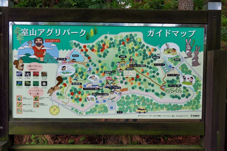 f:id:cippillo:20170809121844j:plain