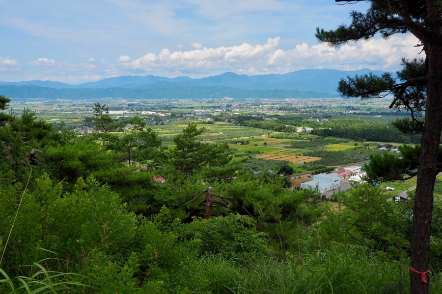 f:id:cippillo:20170809121847j:plain