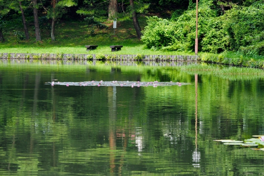 f:id:cippillo:20170809121852j:plain