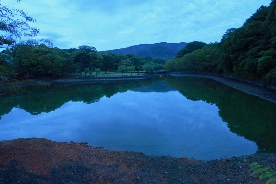 荒池（奈良県奈良） 水辺遍路