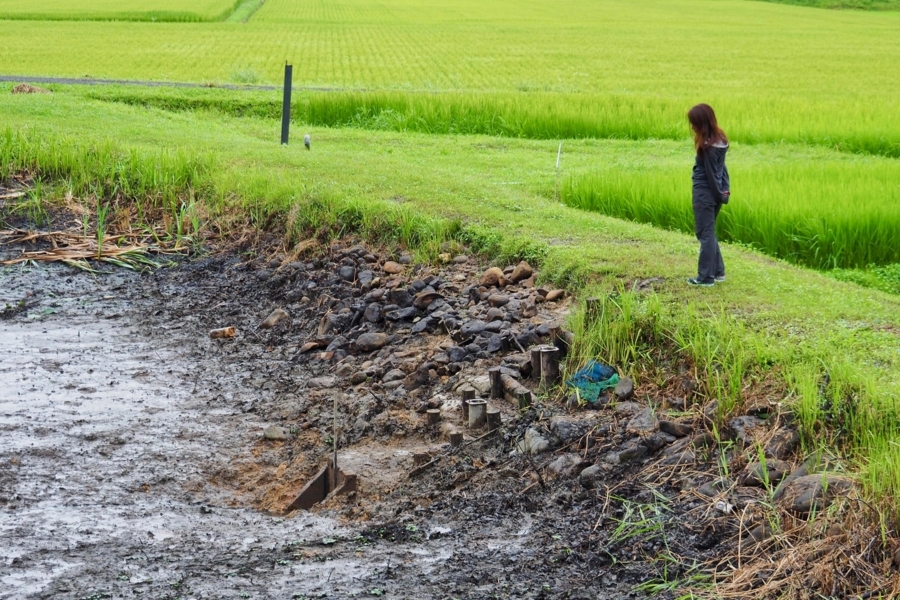 f:id:cippillo:20170827092100j:plain