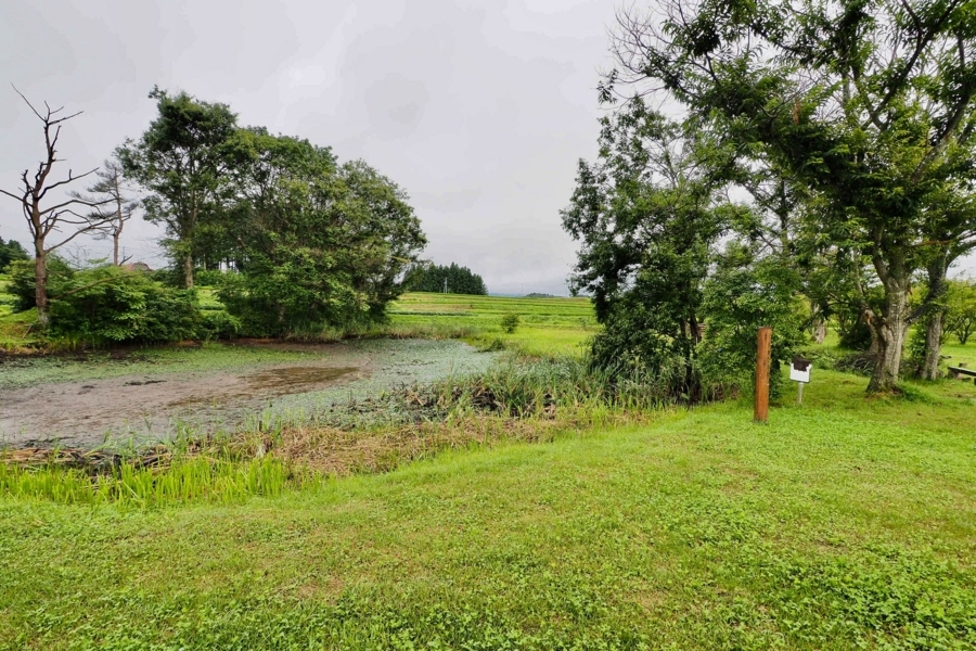 f:id:cippillo:20170827092102j:plain