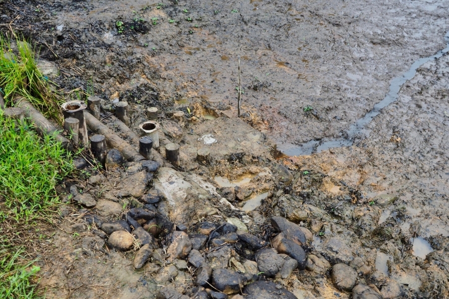 f:id:cippillo:20170827092103j:plain