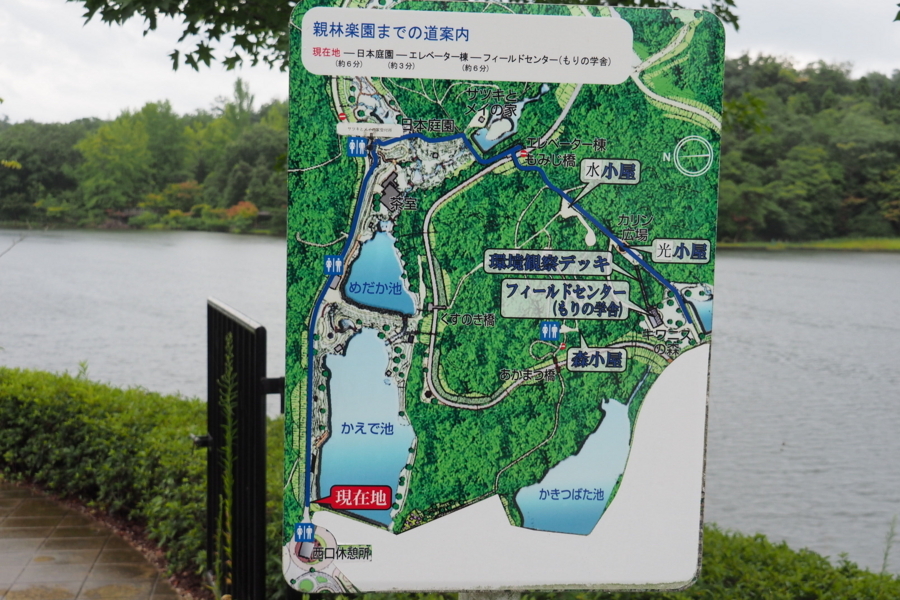 f:id:cippillo:20170907200314j:plain f:id:cippillo:20170907200314j:plain