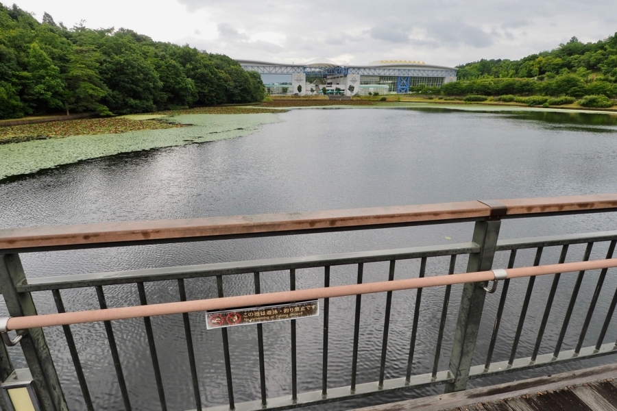 f:id:cippillo:20170907200316j:plain