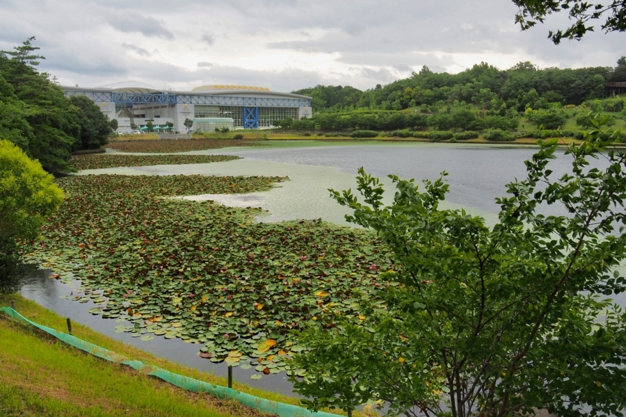 f:id:cippillo:20170907200317j:plain