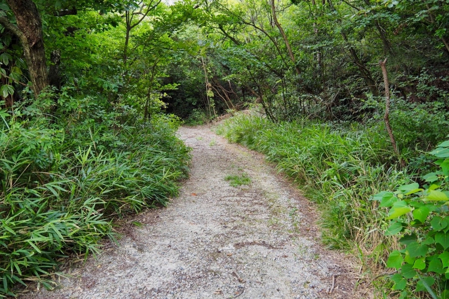 f:id:cippillo:20170907200329j:plain