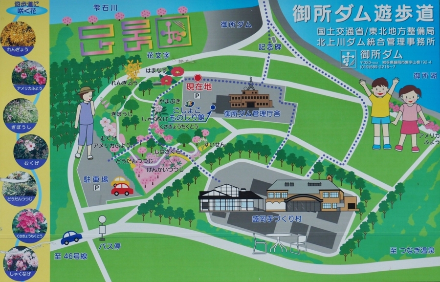 f:id:cippillo:20170925194511j:plain